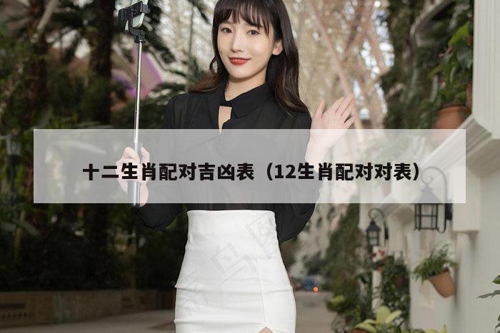十二生肖配对吉凶表（12生肖配对对表）